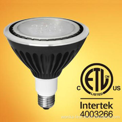 WW PAR 38 for stage lighting or other Residential LED Lighting